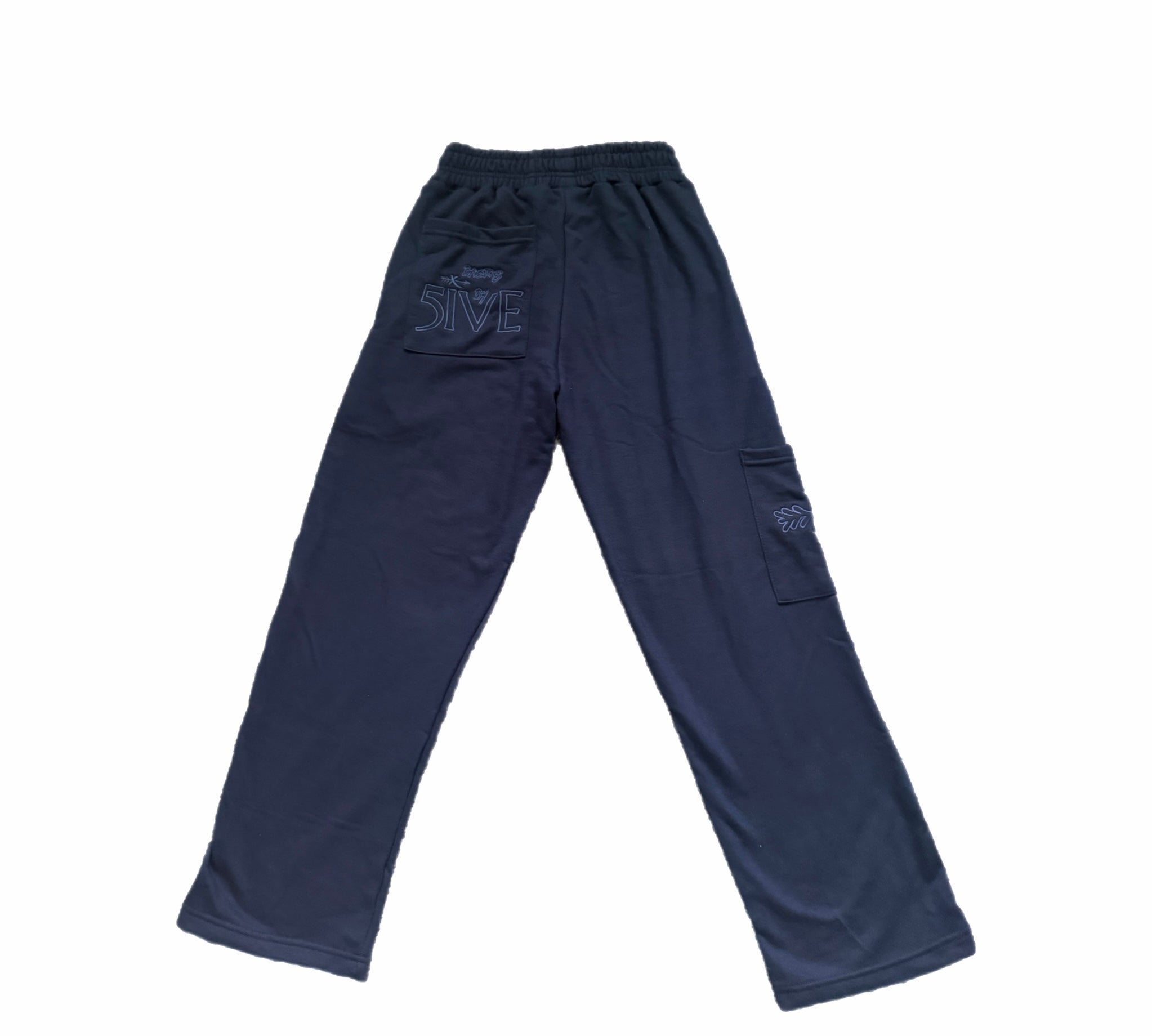 Ba5ics Navy Pants